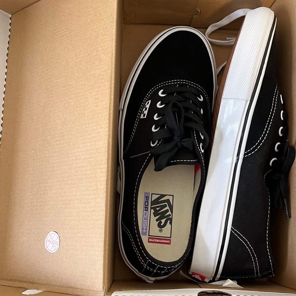 Brand new vans skate authentics